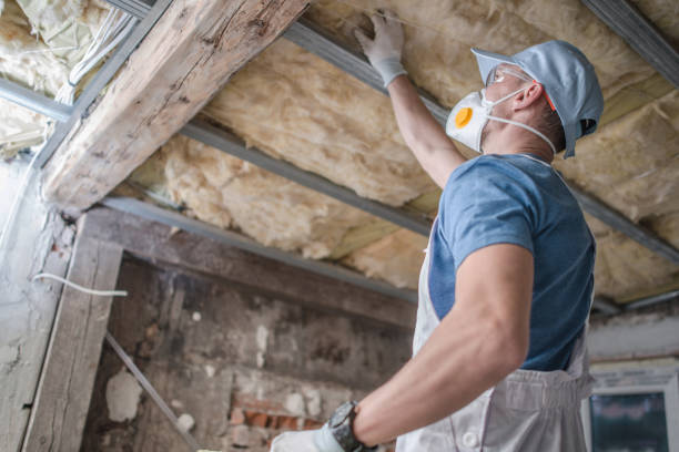 Best Types of Insulation in Goodhue, MN
