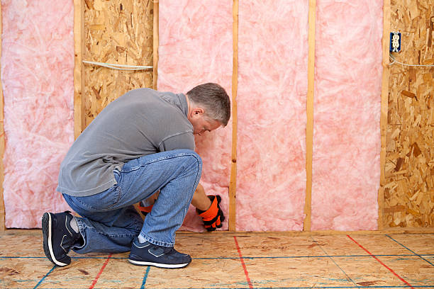 Best Insulation for Specific Applications in Goodhue, MN