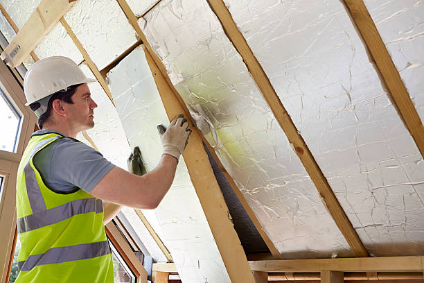 Best Residential Insulation in Goodhue, MN